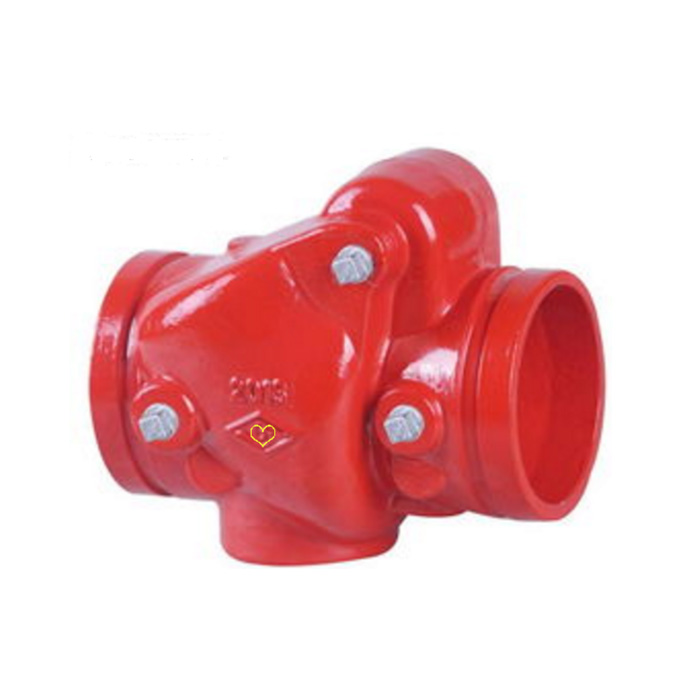 Swing check valve grooved end