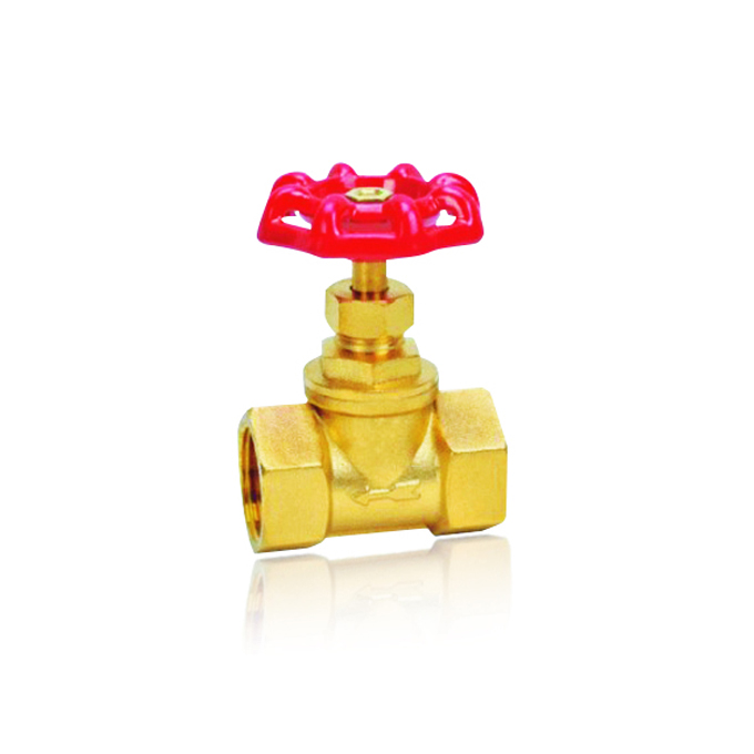 Globe valve