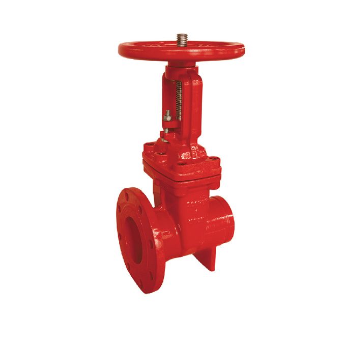 200psi rising stem flange+grooved gate valve