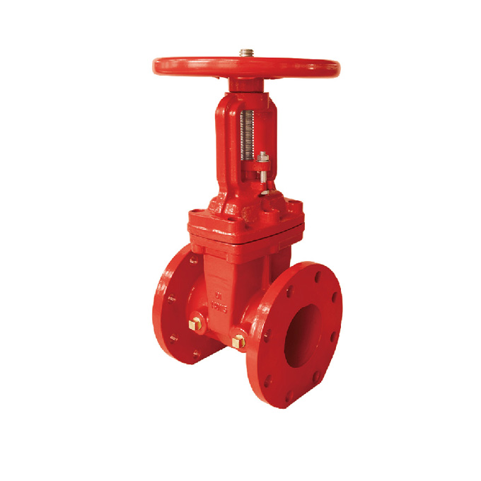 200psi  rising stem  flange gate valve