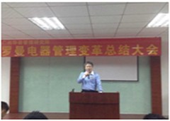 东莞市罗曼罗兰电器有限公司