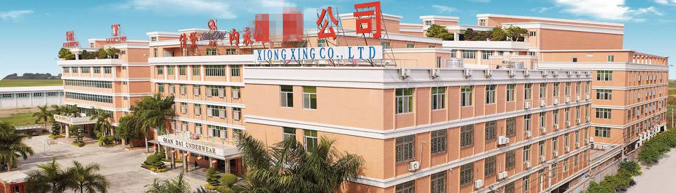 广东XX内衣实业有限公司