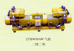 ZYBW60AW-80AW二吸二吹四用无油气泵