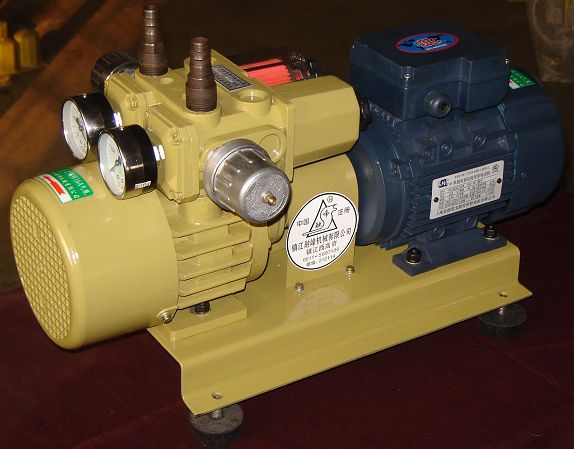 ZYBW20A一吸一吹无油气泵