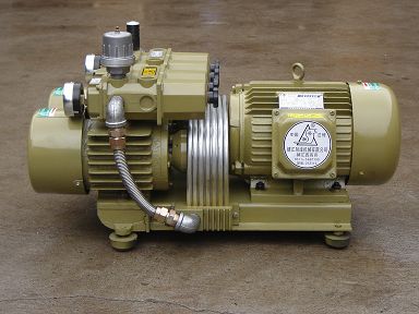 ZYBW60AZ三用无油气泵