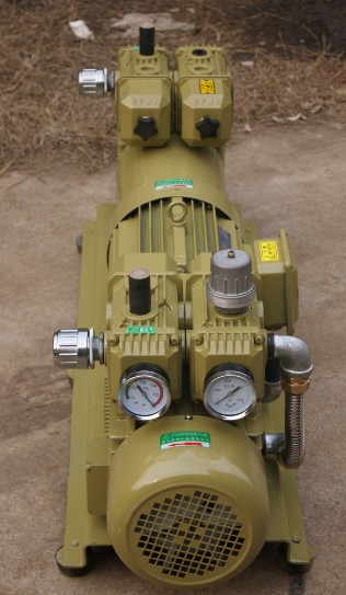 ZYBW60AW-80AW双吸无油真空气泵