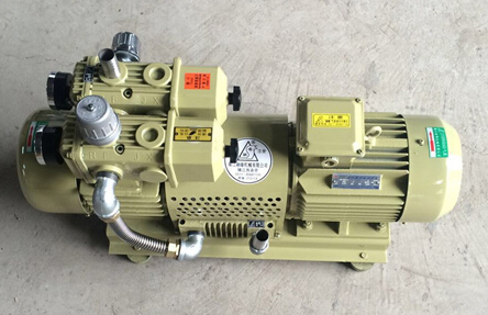 ZYBw60AO气泵