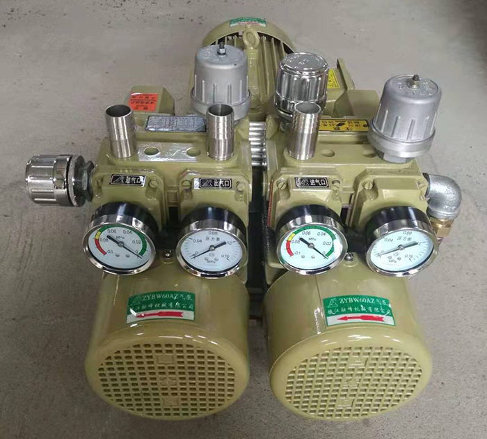 ZYBW60AZ四用式气泵