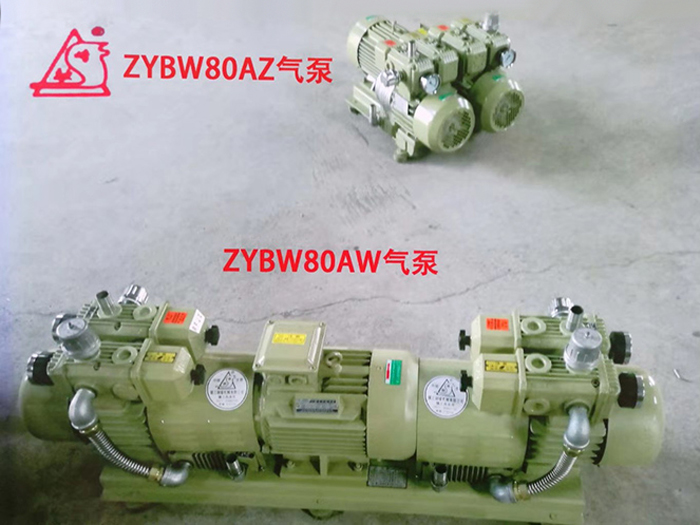 四用双吸双吹式气泵