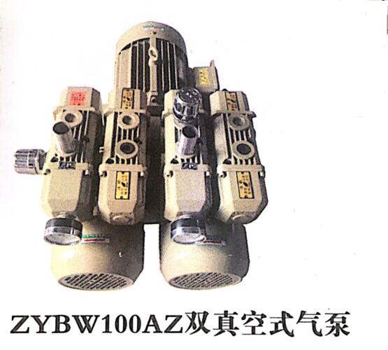 ZYBW100AZ双真空式气泵