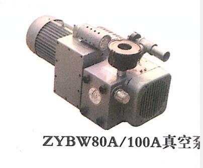ZYBW80A/100A真空泵