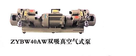 ZYBW40AW双吸真空气式泵