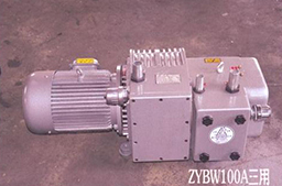 ZYBW60A-80A-100A三用无油