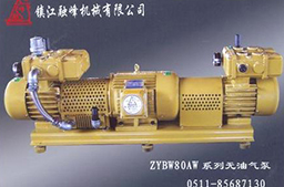 ZYBW80AW系列无油气泵