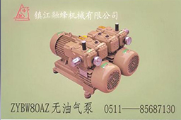 ZYBW80AZ无油气泵