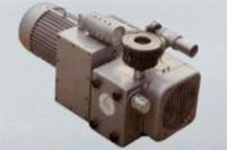 ZYBW80A/100A真空泵