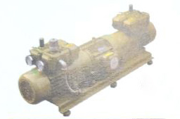 ZYBW60/80AW气泵二吸一吹（双头直线式）