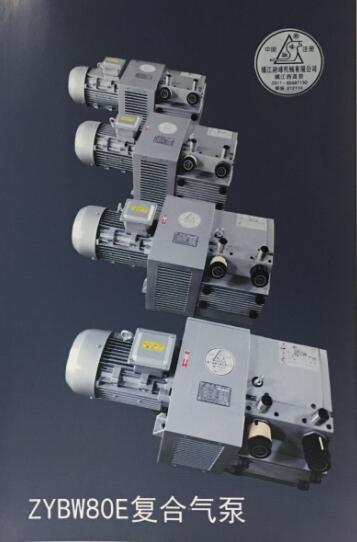 ZYBW80E复合气泵