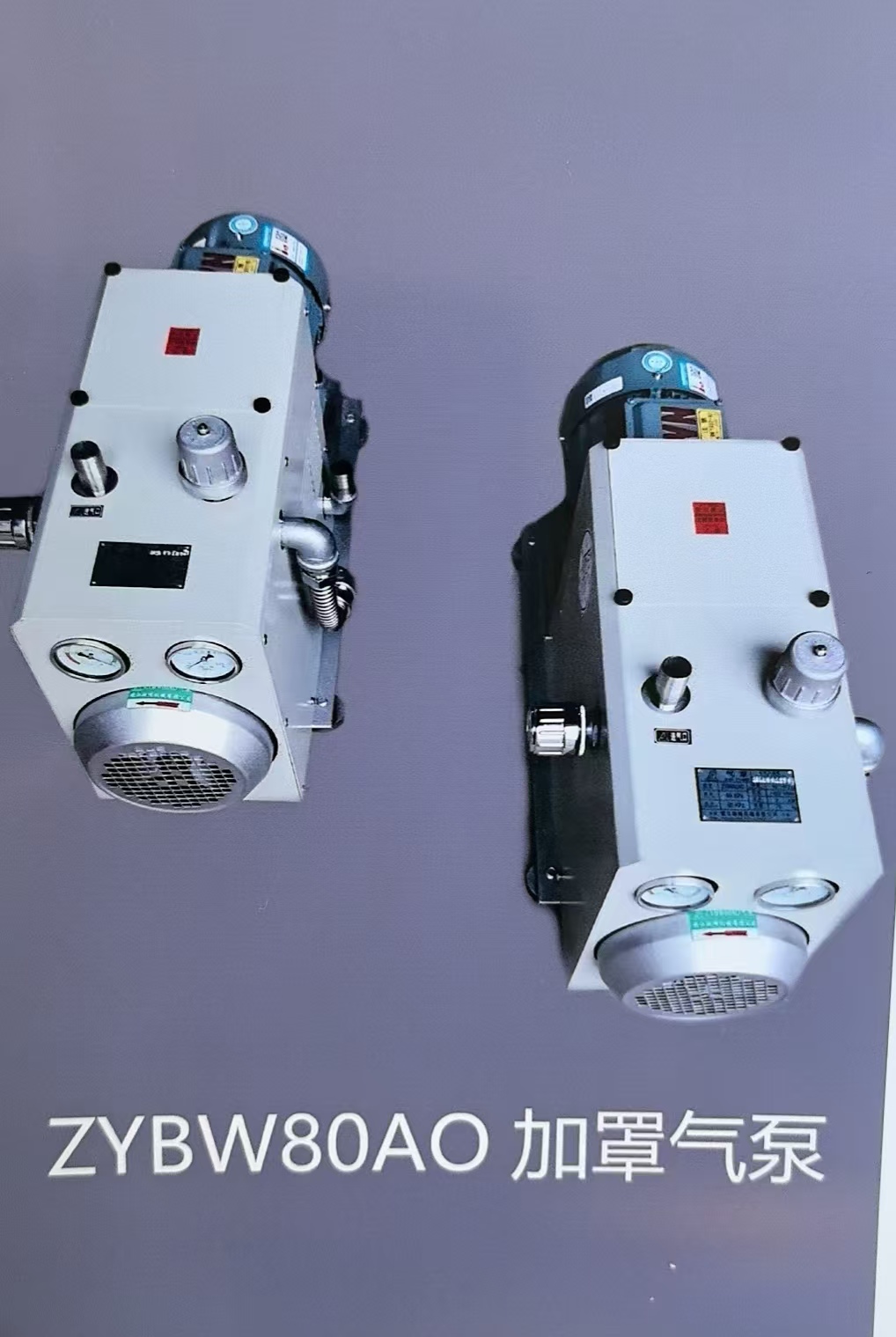 ZYBW80A0O加罩气泵