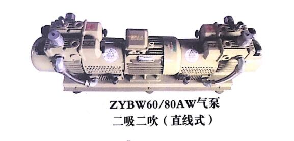 ZYBW60/80AW气泵二吸二吹（直线式