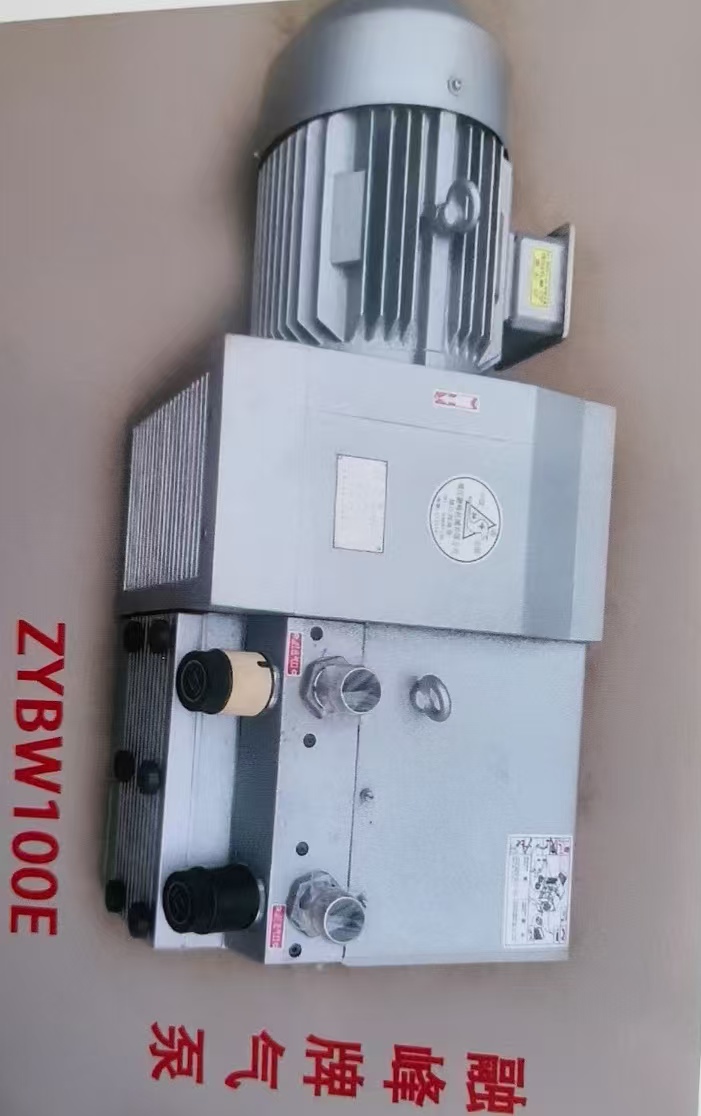 ZYBW100E