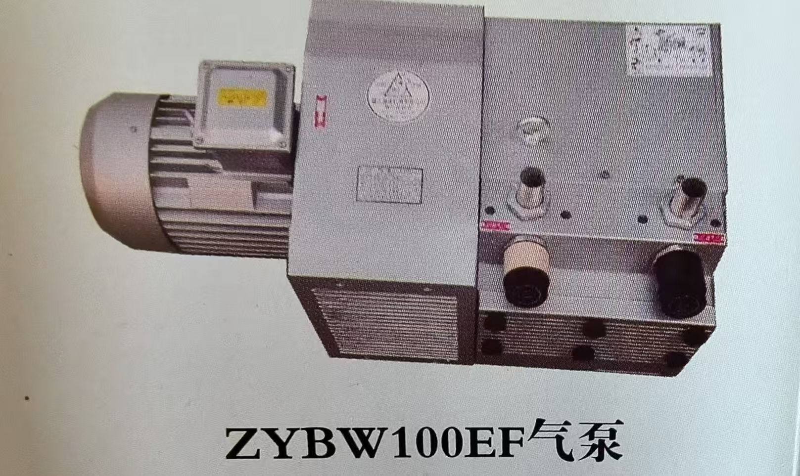 ZYBW100EF气泵