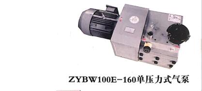 ZYBW100E-160单压力式气泵