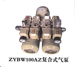 ZYBW100AZ复合式气泵