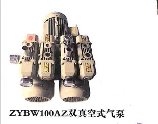ZYBW100AZ双真空式气泵