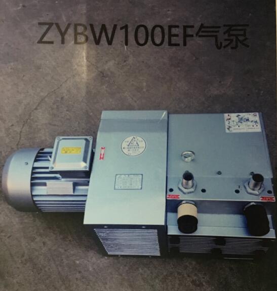 ZYBW100EF气泵