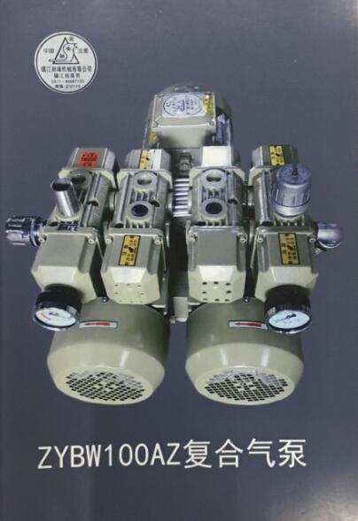 ZYBW100AZ复合气泵