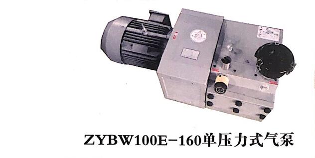 ZYBW100E-160单压力式气泵