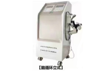 腦循環(huán)立式