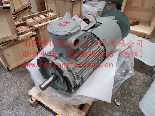 YBBP系列气体防爆变频制动电机_强迫通风冷却