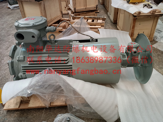 南阳气体防爆电磁制动强迫冷却变频电机