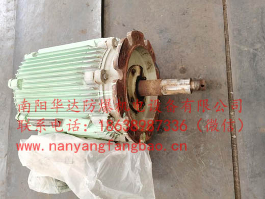 冷却塔用防爆电机