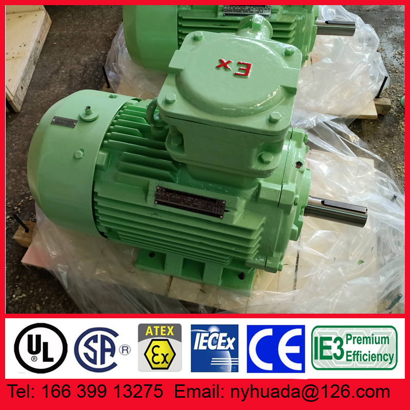 ExdIICT5南阳防爆电机