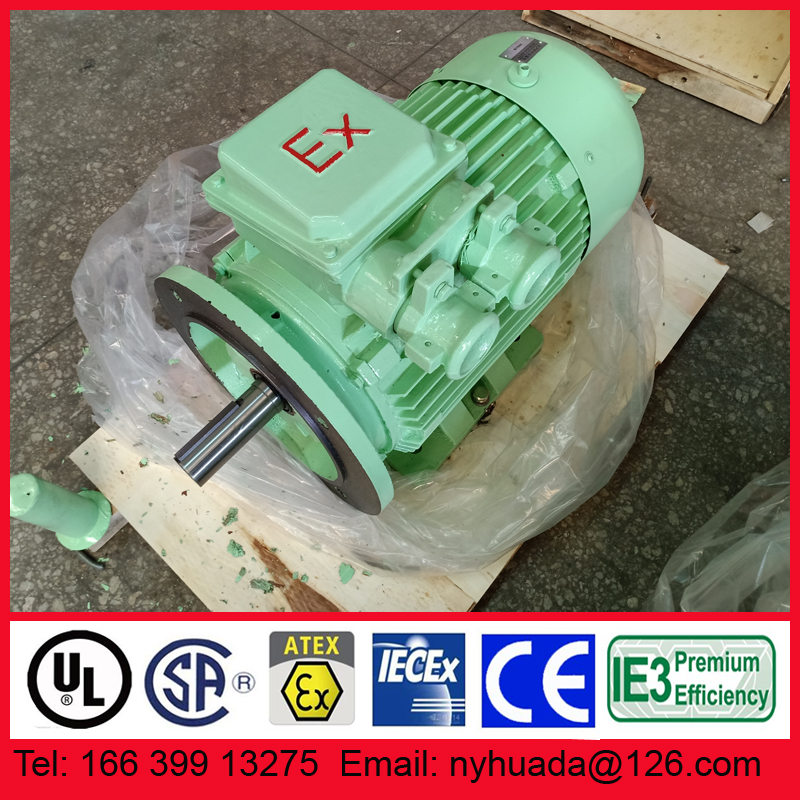 双进线口粉尘防爆电机