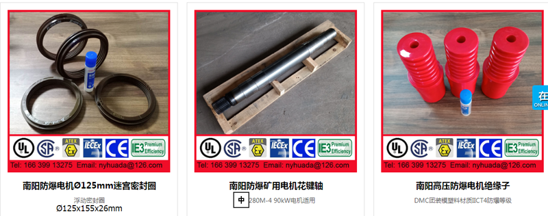 南阳防爆电机浮动密封圈花键轴绝缘子