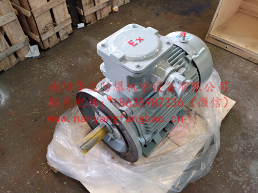 B35卧立两用安装的南阳防爆电机