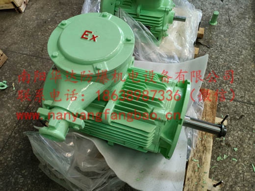 苹果绿色南阳防爆电机具特殊轴伸