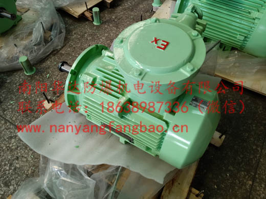 苹果绿色南阳防爆电机具特殊轴伸