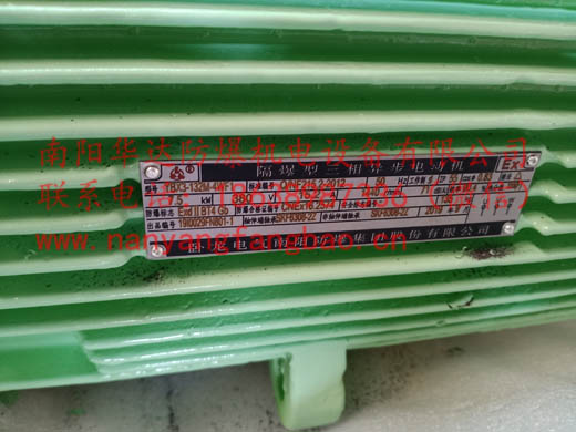 苹果绿色南阳防爆电机具特殊轴伸