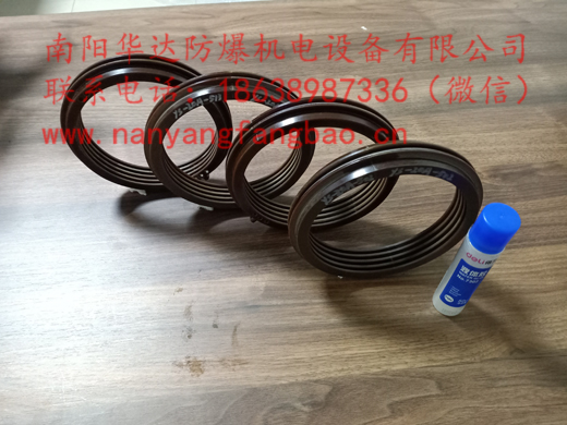 南阳防爆高压电机浮动密封圈