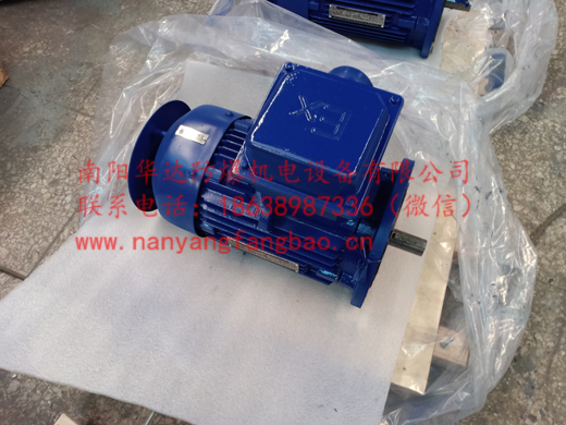 V1立式安装的南阳防爆电机