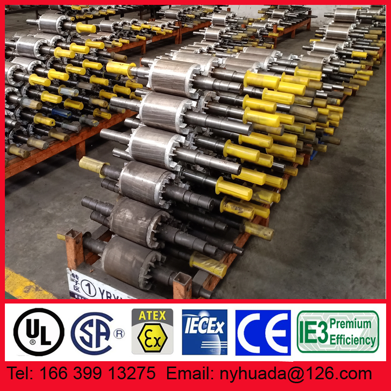 南阳防爆电机铸铝转子