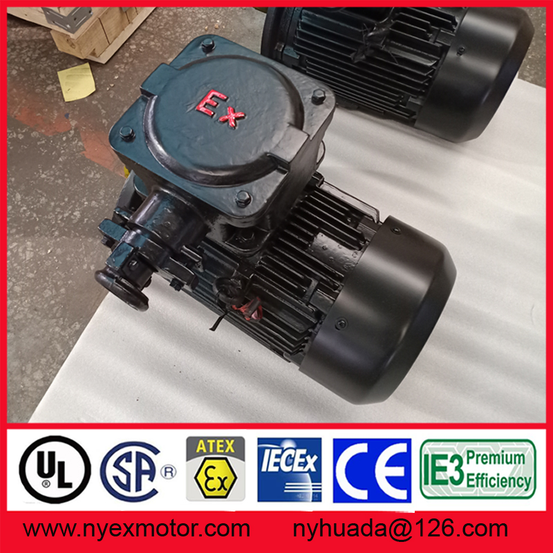 气体粉尘复合防爆电机