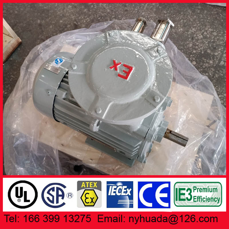 南阳防爆变频电机4kW