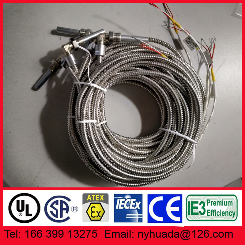 南阳防爆电机轴承测温探头测温线铂热电阻