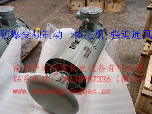 防爆变频制动一体电机